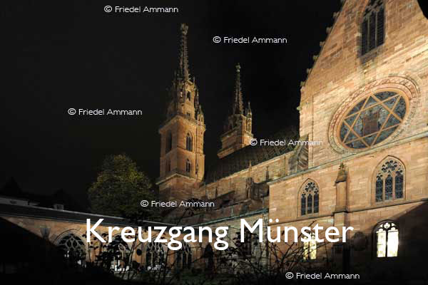 KULTUR – Vergängliche Heimat – Kreuzgang Münster, Basel 