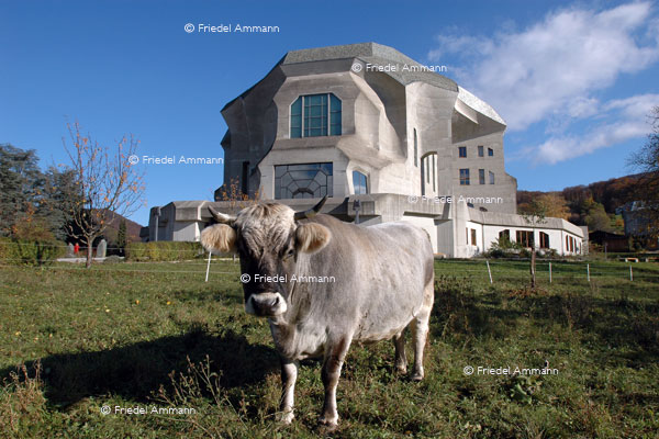KULTUR - Anthroposophie - Goetheanum – Dornach, Schweiz 