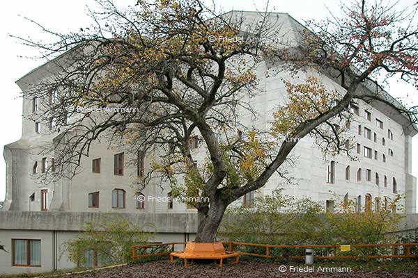 KULTUR – Spiritualität - Sitzplatz von Rudolf Steiner - Goetheanum – Dornach, Schweiz