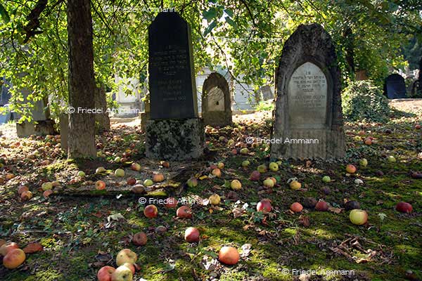 KULTUR – Spiritualität – Jüdischer Friedhof