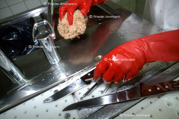 LEBEN - Gewalt / Force - Rechtsmedizin, Autopsie, Forensic medicine