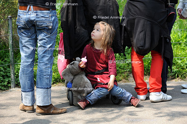 LEBEN - Familie
