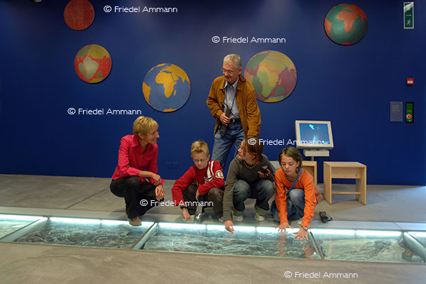 LEBEN - Freizeit / leisure - Museum