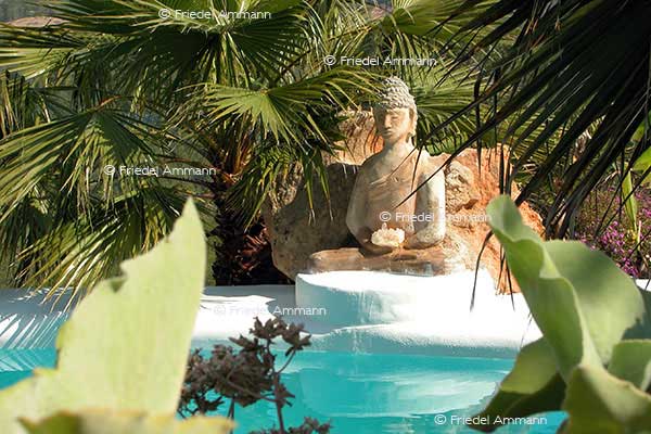 LEBEN - Spiritualität / Religion – Uddi-Buddha