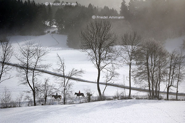 LEBEN – Outdoor - Jura, Schweiz 
