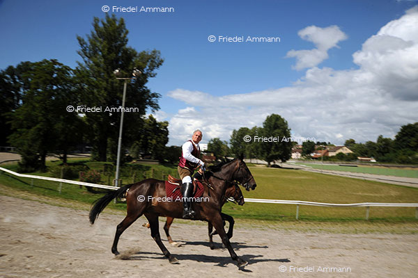 LEBEN – Sport - Reiten