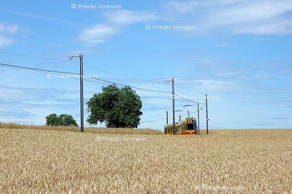 LEBEN - Unterwegs / on the way – BLT, Rodersdorf-Dornach