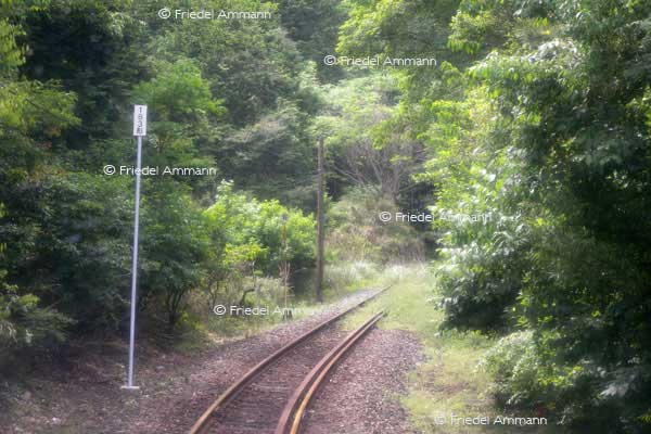 LEBEN - Unterwegs / on the way