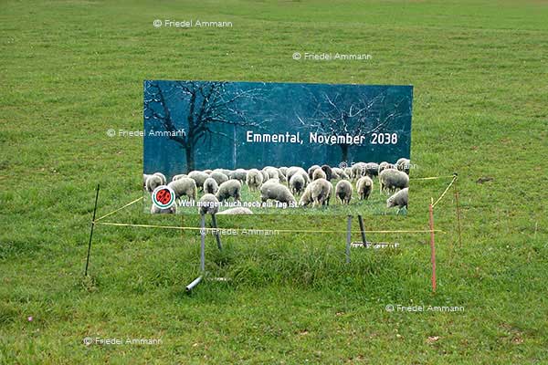 SCHWEIZ - Impressionen 2