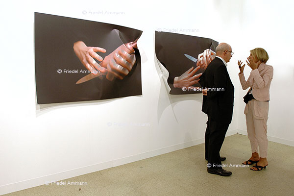 SCHWEIZ - Impressionen 2 - ART Unlimited Basel