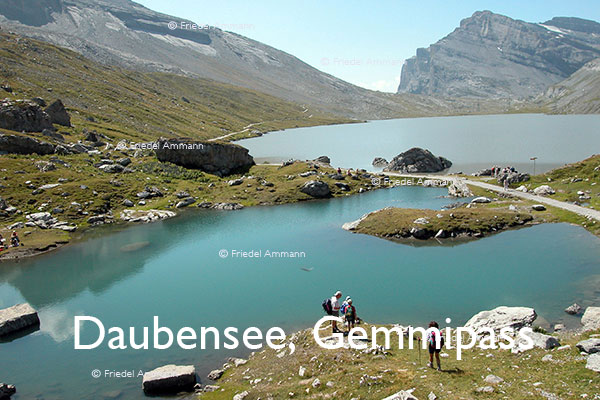 SCHWEIZ - ALPEN - Daubensee, Gemmipass