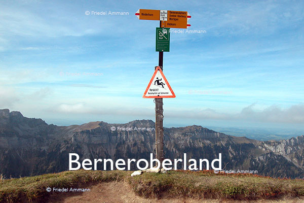 SCHWEIZ - Alpen – Niederhorn, Berneroberland