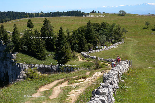 SCHWEIZ - Jura - Creux du Van