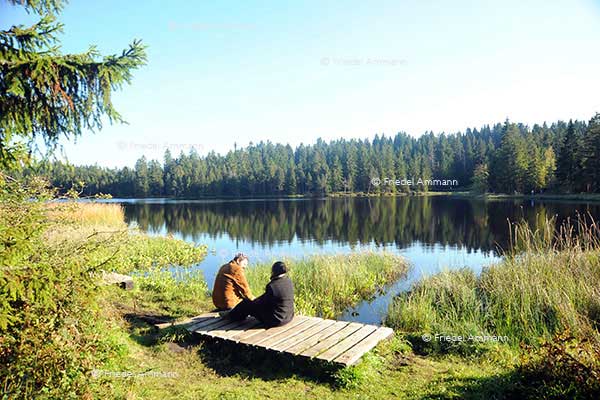SCHWEIZ - Jura - Etang de la Gruère