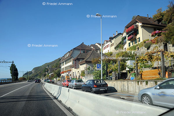 SCHWEIZ - Mittelland - Tüscherz am Bielersee