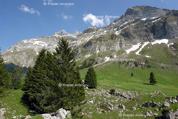 SCHWEIZ - Appenzell - Säntis