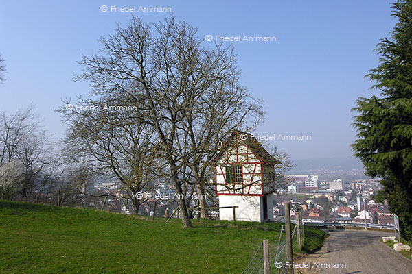 SCHWEIZ - Baselland - Pratteln 