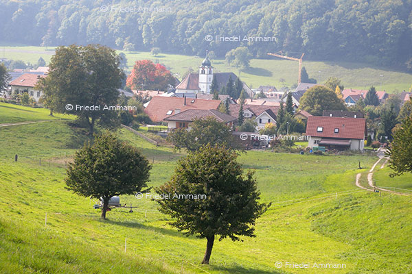 SCHWEIZ - Baselland