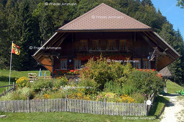 SCHWEIZ - Bern - Trueb