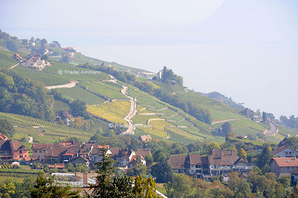 SCHWEIZ - Romandie, Lavaux