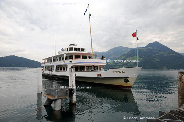 SCHWEIZ - Innerschweiz - Vierwaldstättersee, Beckenried
