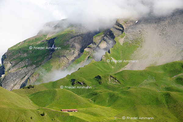 SCHWEIZ - Innerschweiz - Schwalmis, Klewenalp
