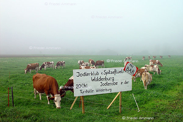 SCHWEIZ -Gesellschaftliche Ereignisse - Jodlerabend