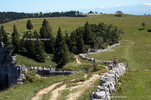 SCHWEIZ - Wandern - Creux du Van