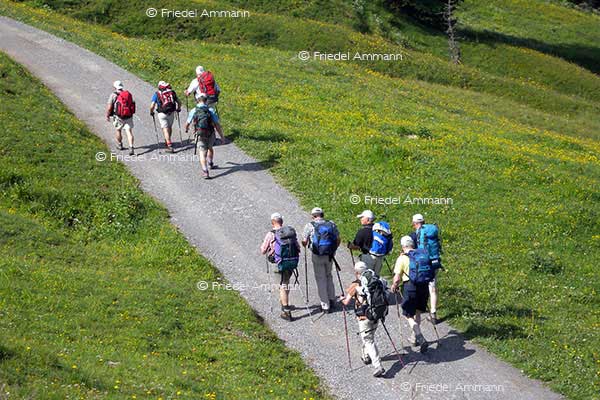 SCHWEIZ - Wandern - Klewenalp