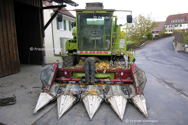 SCHWEIZ - Wirtschaft - Landwirtschaft
