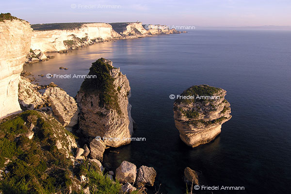 WORLD – Impressions - Bonifacio, Korsika, Corsica