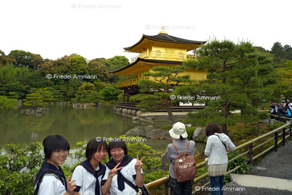 WORLD - Tourismus / Tourism - Golden Pavilion, Kinkakuji Temple, Kyoto, Japan