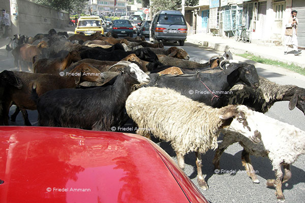 WORLD - Afghanistan, Kabul