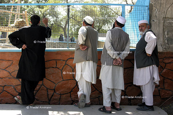 WORLD - Afghanistan, Kabul - Zoo