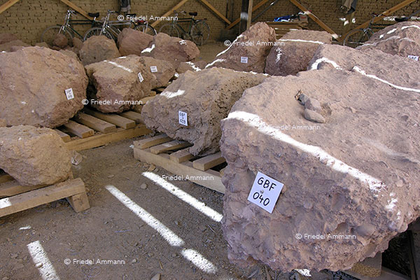WORLD - Afghanistan - Buddhas of Bamyan, 2005