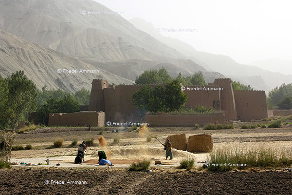 WORLD - Afghanistan – Qala, traditional structure housing families