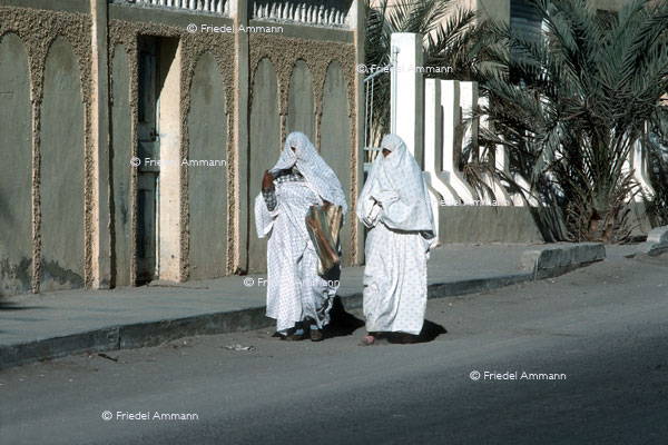 WORLD - Algerien - Ouargla