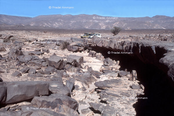 WORLD - Algerien - Wadi