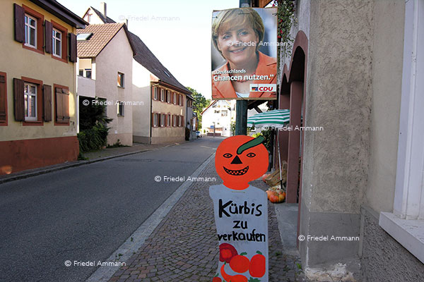 WELT - Deutschland hat die Wahl
