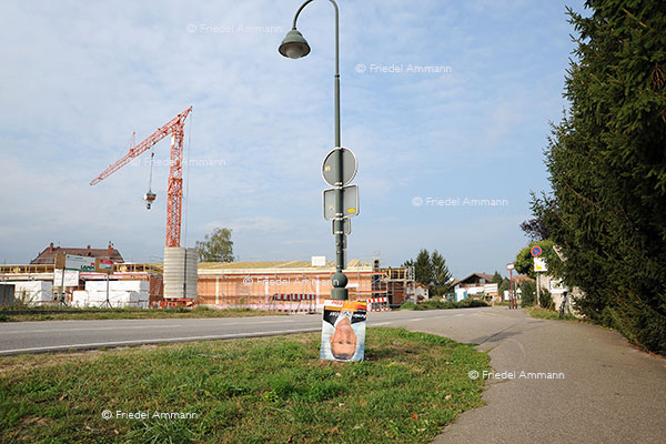 WELT - Deutschland