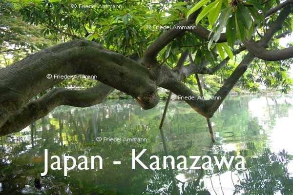 WORLD – Japan - Kenrokuen Garden, Kanazawa