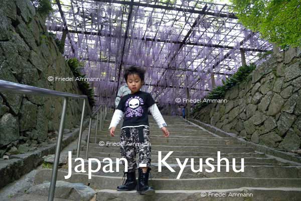 WORLD – Japan – Young Ninja