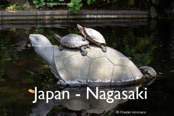 WORLD – Japan – Turtles, Clover Garden, Nagasaki