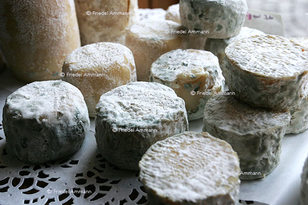 WORLD - France - Käse, Fromage