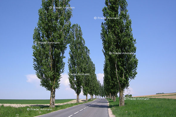 WORLD - France - Sundgau