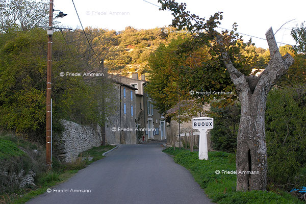 WORLD - France - Buoux, Provence