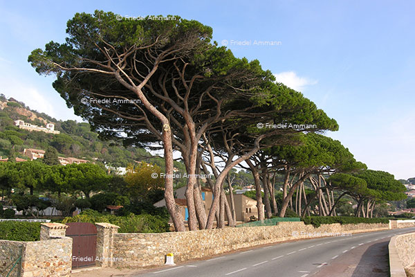 WORLD - France - Côte d'Azur