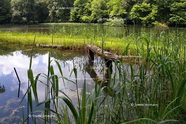 WORLD - France - Sundgau