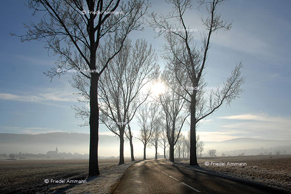 WORLD - France - Sundgau