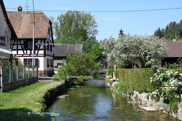 WORLD - France - Sundgau
